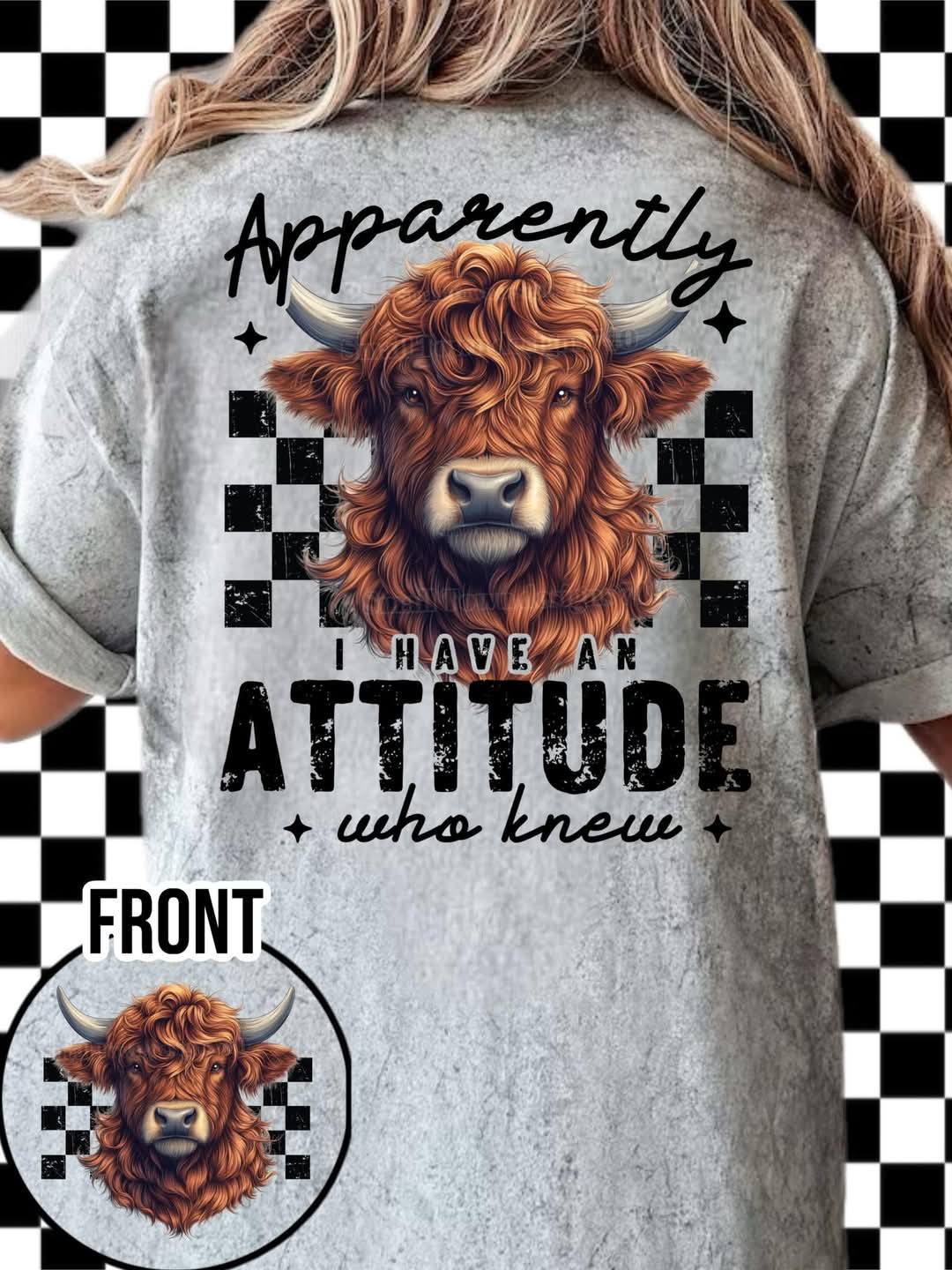 Apparently I Have An Attitude Problem
