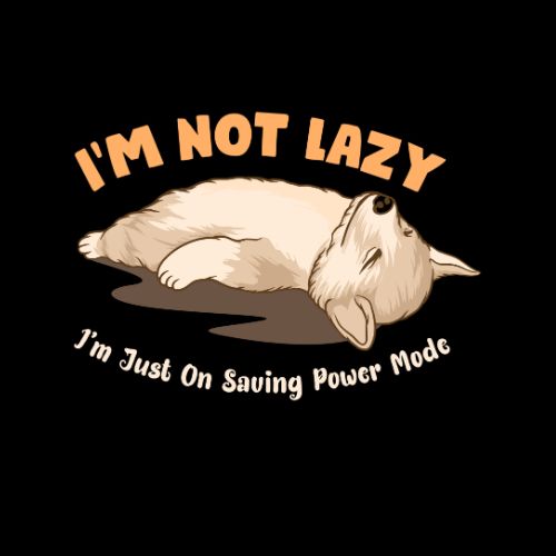 Not Lazy, On Power Saving Mode