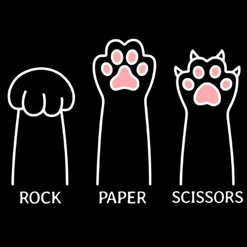 Rock Paper Scissors Cat